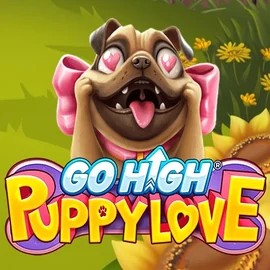Go High Puppy Love by RubyPlay, showcased at winsharkscasino.org – game logo
